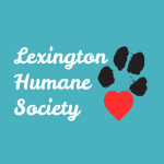 Railbird Ticket Raffle - logo